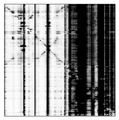 Reactivity heatmap for ADD140_1M7_0004
