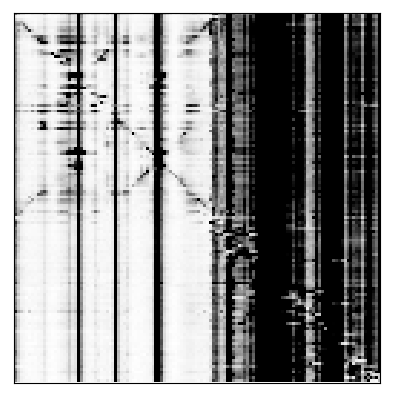 Reactivity heatmap for ADD140_1M7_0008