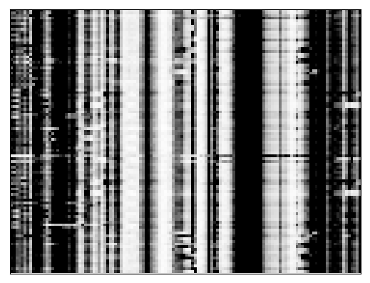 Reactivity heatmap for ADD140_LCK_0004