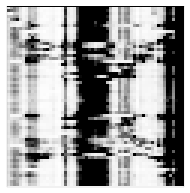 Reactivity heatmap for PSL2IAV_1M7_0001