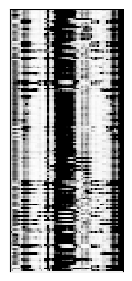Reactivity heatmap for PSL2IAV_RSQ_0001