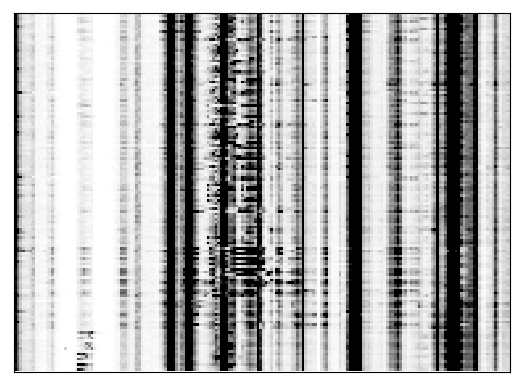 Reactivity heatmap for RNAPZ5_RSQ_0001