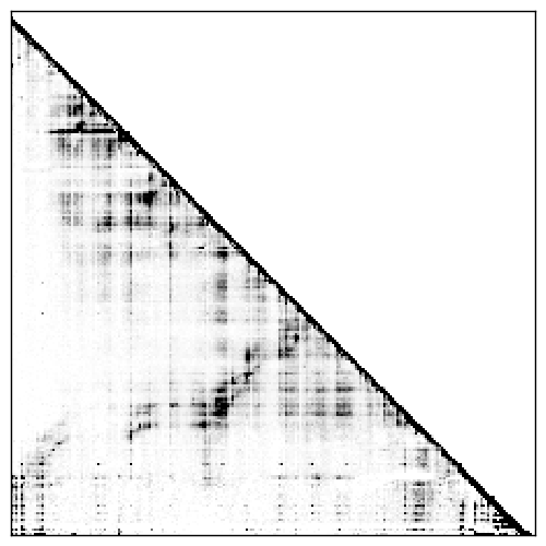 Reactivity heatmap for RNAPZ6_MCA_0001