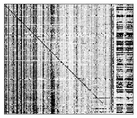 Reactivity heatmap for SL5HKU_NOM_0002