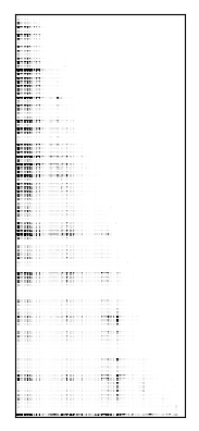 Reactivity heatmap for ZTPRSW_BZCN_0016